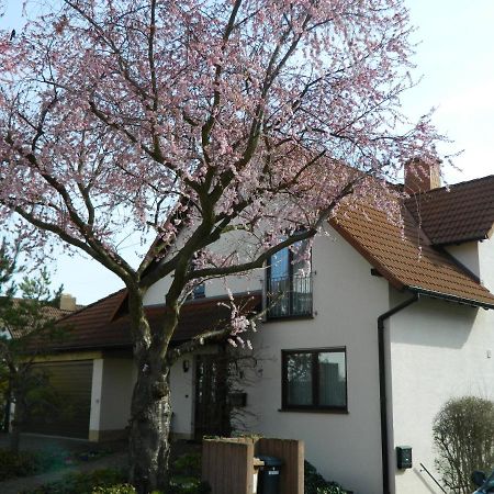 Ferienwohnung Kiko Zornheim المظهر الخارجي الصورة