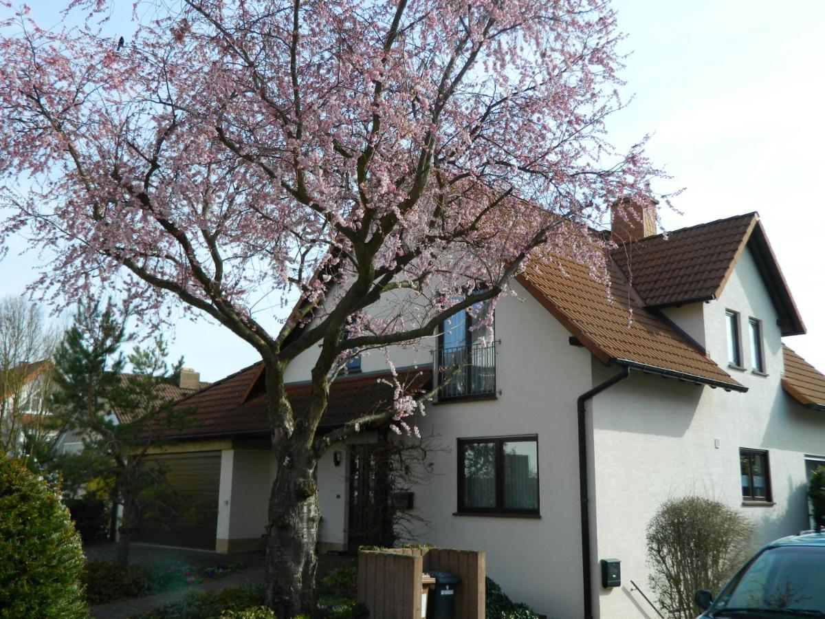 Ferienwohnung Kiko Zornheim المظهر الخارجي الصورة